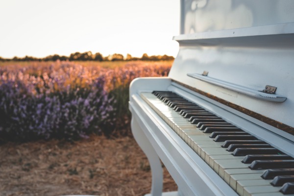 A piano in a lavender field.